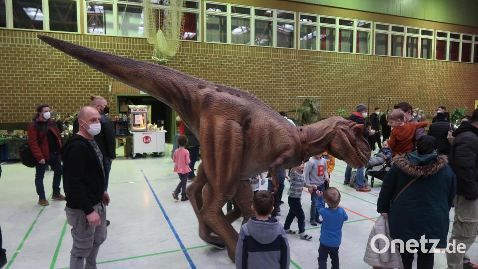 Gassigehen mit Dino: Das war in der Mehrzweckhalle in Weiden am vergangenen Wochenende für Groß und Klein möglich. Bild: Kunz