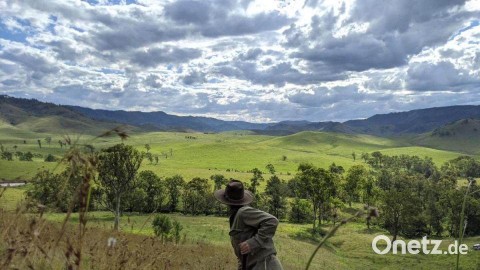 Die Ökologin Dr. Charlotte Mills überprüft das Wachstum einiger von AirSeed gepflanzter Bäume. Bild: --/AirSeed/dpa