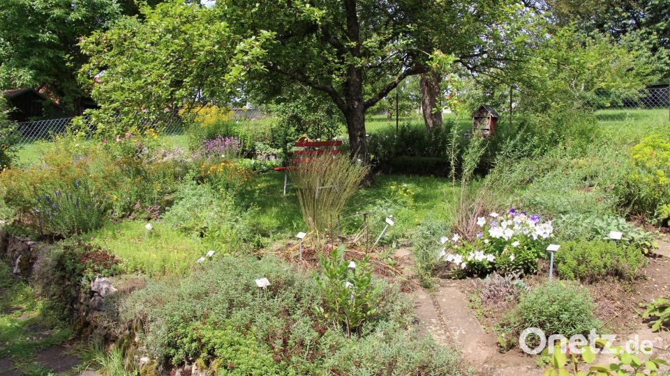 So zeigte sich der Kräutergarten am Kirchenreinbacher Schloss im August 2021. Um diese Fläche kümmern sich Mitglieder des Gartenbauvereines Schmidtstadt und Umgebung. Archivbild: ds