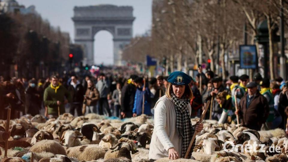 Eine Schäferin steht zwischen 2000 Schafen auf der Avenue des Champs-Elysees in Paris, wo heute die Internationalen Landwirtschaftsmesse zu Ende geht. Bild: Thomas Padilla/AP/dpa