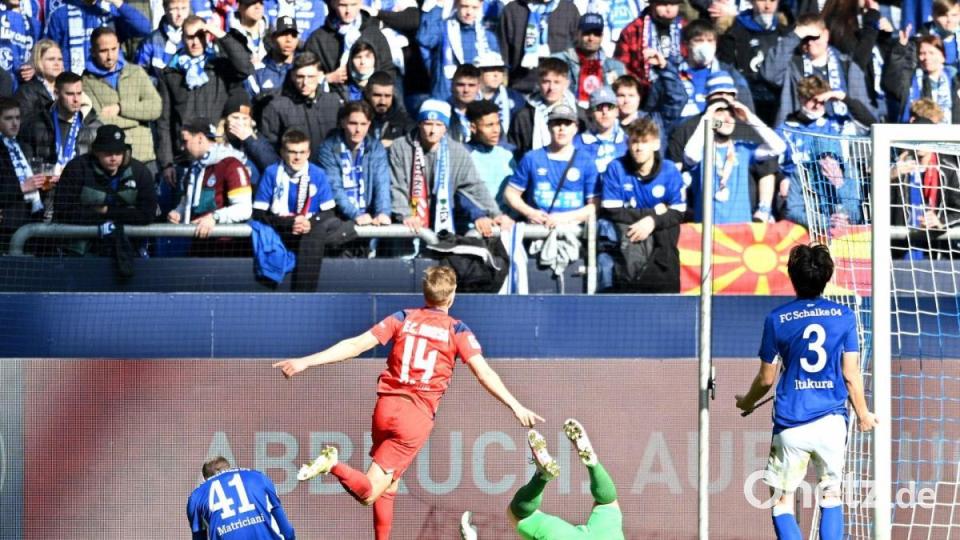 Der Rostocker Svante Ingelsson (M.) jubelt nach seinem Führungstreffer. Bild: David Inderlied/dpa