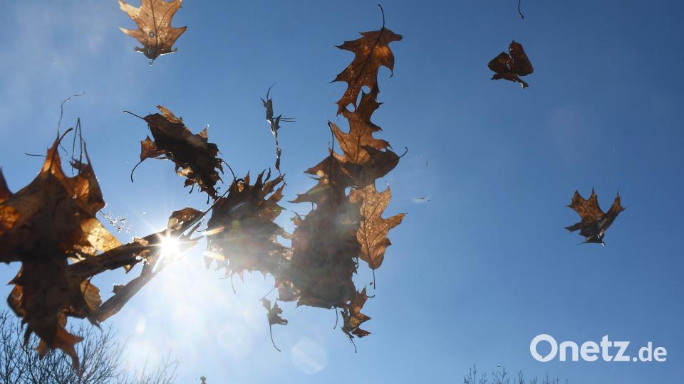 Wetter Februar Bild: Gabi Schönberger