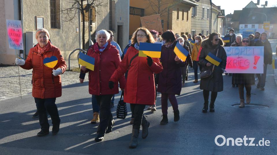 Viele der Teilnehmer hatten Plakate und Ukraine-Fahnen mitgebracht. Bild: jr