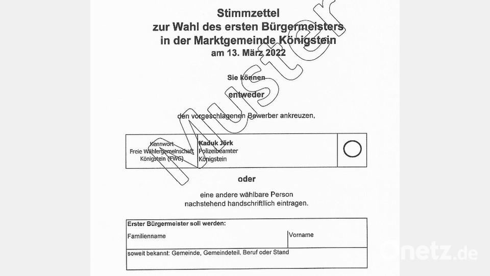 Es tritt nur ein Kandidat an, aber der Stimmzettel bietet auch ein Feld, in das eine andere wählbare Person eingetragen werden kann. Repro: mfh
