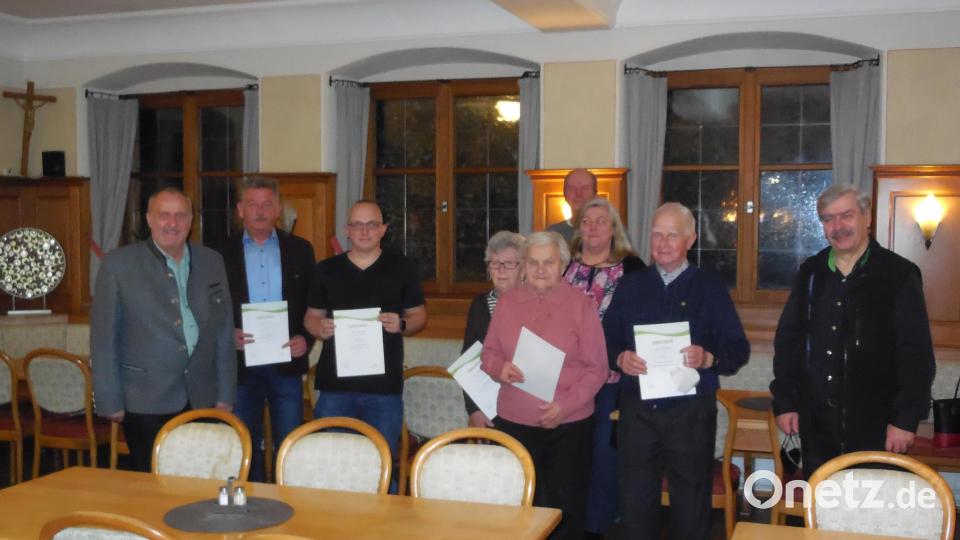 Die langjährigen Mitglieder der Siedlergemeinschaft Ammerthal erhalten Urkunden (von links): Bürgermeister Anton Peter, Georg Paulus, Florian Haupt, Erna Berghammer, Maria Wittmann, Thomas Englhard, Vorsitzende Anita Knorr, Josef Hofmann sowie Bezirks- und Kreisvorsitzender Reinhard Ott. Bild: mof