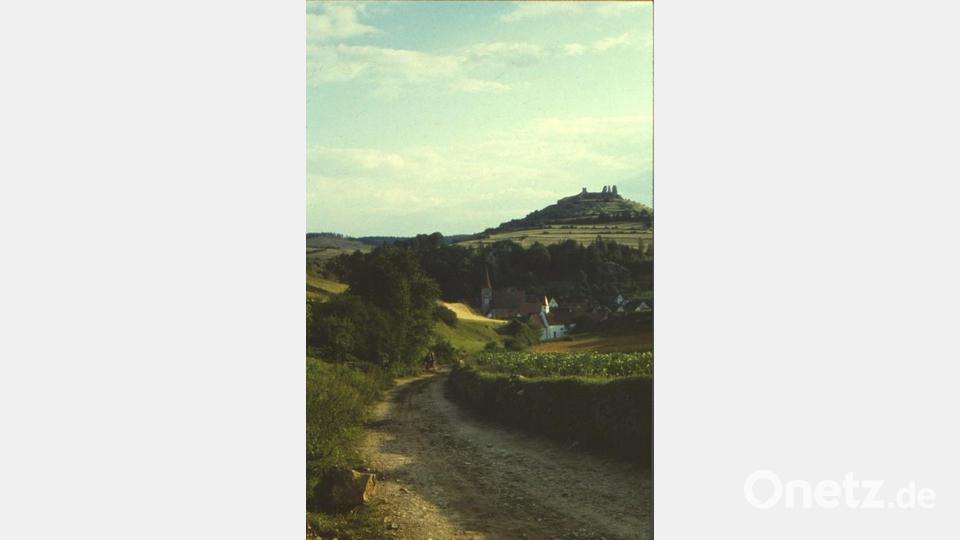 Diese beiden Aufnahmen vom „Schwanawirtsberg“ nördlich von Hohenburg aus aufgenommen, zeigen mit Datum 24. Juli 1960 den Burgberg Hohenburg noch mit den ehemaligen Fluren und fast ohne Bewaldung. Der Fotograf verstand sein Handwerk – nach dem Motto: „Vordergrund macht Bild gesund!“ Bild:  Sammlung Ludwig Nerb