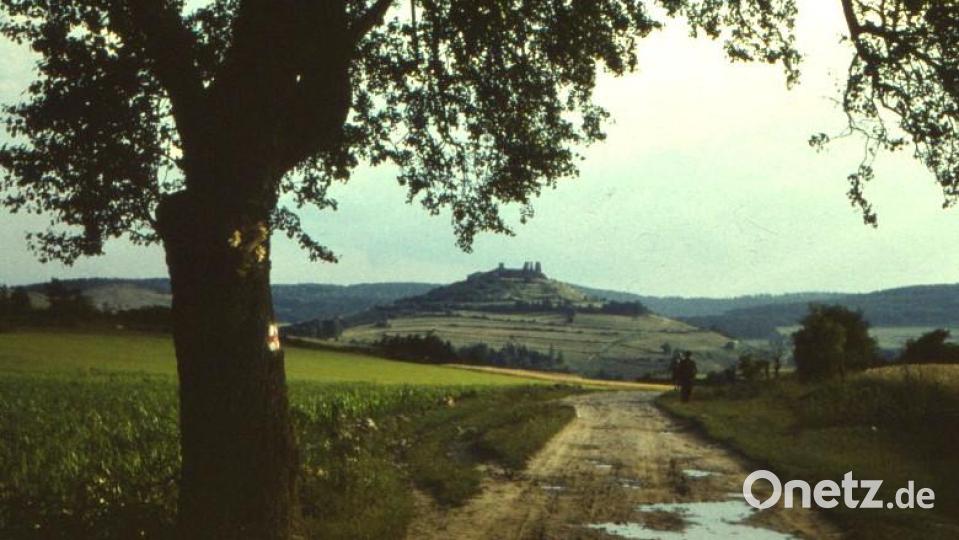 Diese beiden Aufnahmen vom „Schwanawirtsberg“ nördlich von Hohenburg aus aufgenommen, zeigen mit Datum 24. Juli 1960 den Burgberg Hohenburg noch mit den ehemaligen Fluren und fast ohne Bewaldung. Der Fotograf verstand sein Handwerk – nach dem Motto: „Vordergrund macht Bild gesund!“ Repro: Ludwig Nerb