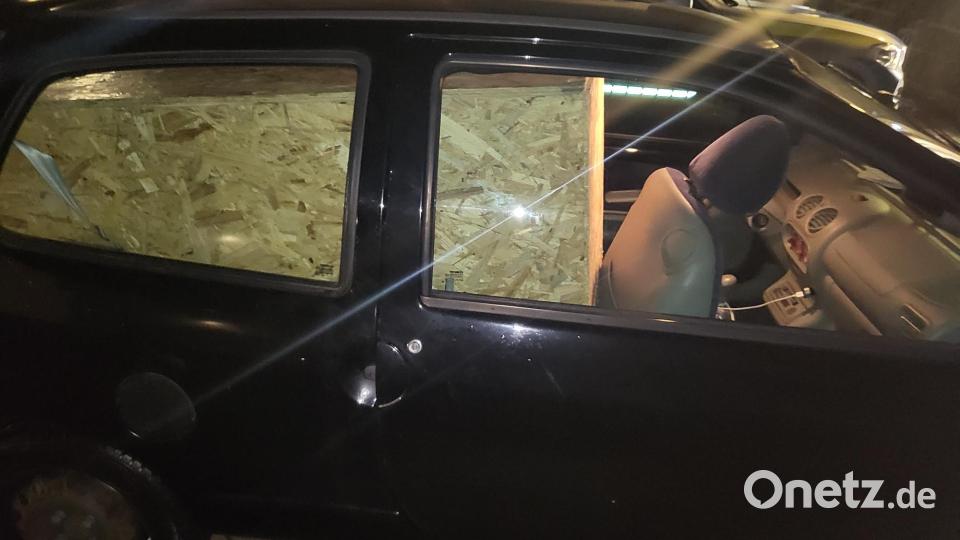 In dieser Box transportierte der Mann aus Bade-Württemberg den Puma Bild: Polizei Oberpfalz