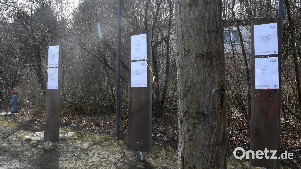 Die Gedichte können Mut und Hoffnung spenden, findet etwa Grafenwöhrs Bürgermeister Edgar Knobloch. Bild: Gabi Schönberger