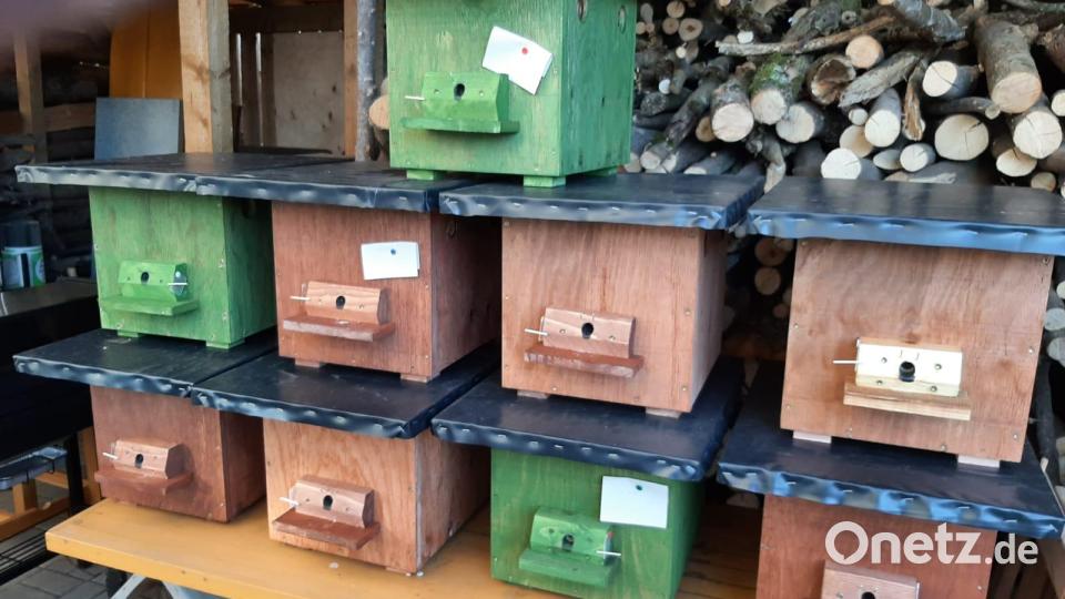 Die fertigen Hummelquartiere: Von außen farbenfroh und fast unscheinbar, aber mit vielen inneren Qualitäten. Bild: Gerhard Reichl/exb