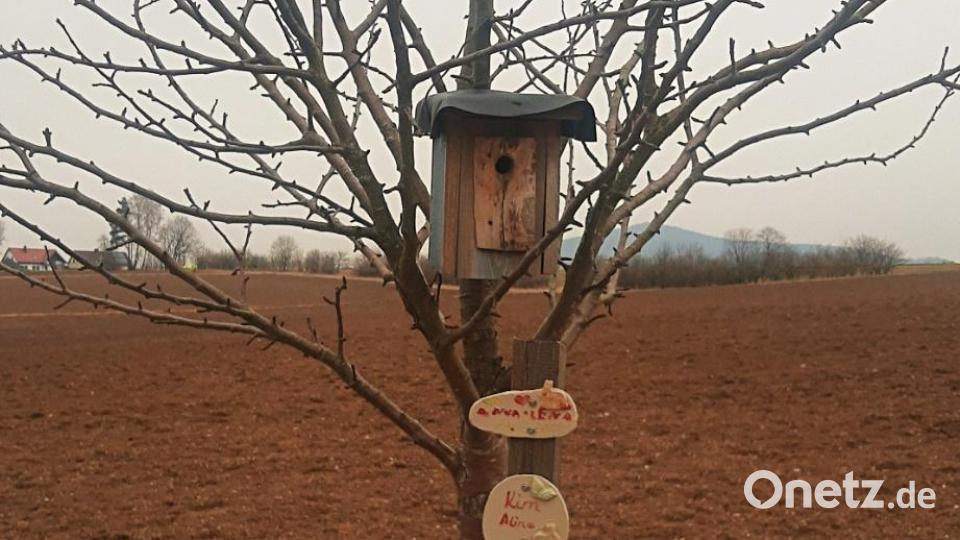 Immer wenn in Brand ein Kind geboren wird, kann ein Baum gepflanzt und mit einem Schild mit Namen und Geburtsdatum versehen werden. Hier hat jemand an seinem Baum einen Brutkasten angebracht und einem Vogelpaar zu einer Wohnung verholfen. Die Geburtenwiese ist voll, Bäume stehen inzwischen auch an den Rändern der Jahnstraße, die zur Geburtenwiese führt.