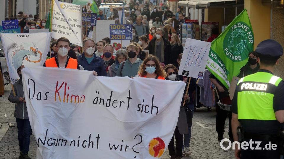 Klimastreik von Fridays for future Amberg: Die Demo ging vom Malteser- bis zum Marktplatz. Bild: Wolfgang Steinbacher