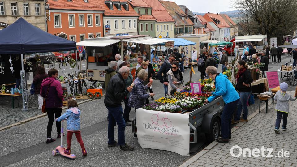 Mittefastenmarkt am Unteren Markt Bild: njn