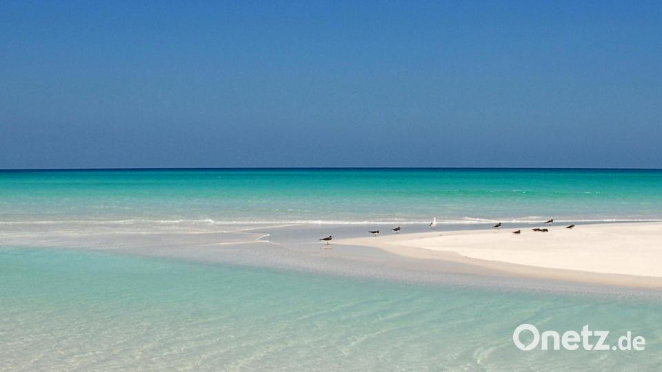Ein Traumstand auf der Insel Sokotra. Bild: Dr. Siegfried Steinkohl/exb