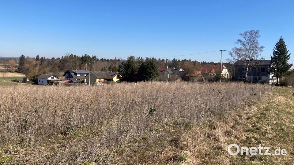 Bei Heringnohe wird ein Baugebiet ausgewiesen. Auf 2,3 Hektar Fläche sollen mindestens 20 Parzellen entstehen. Bild: e