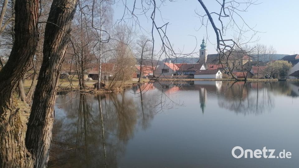 Der Marktweiher, der der Stadt gehört, ist ein Plus in Oberviechtach, fanden die Workshopteilnehmer. Als Lebensraum für verschiedene Arten könnte er aber noch optimiert werden. Bild: Winderl, Kristin [wrl]