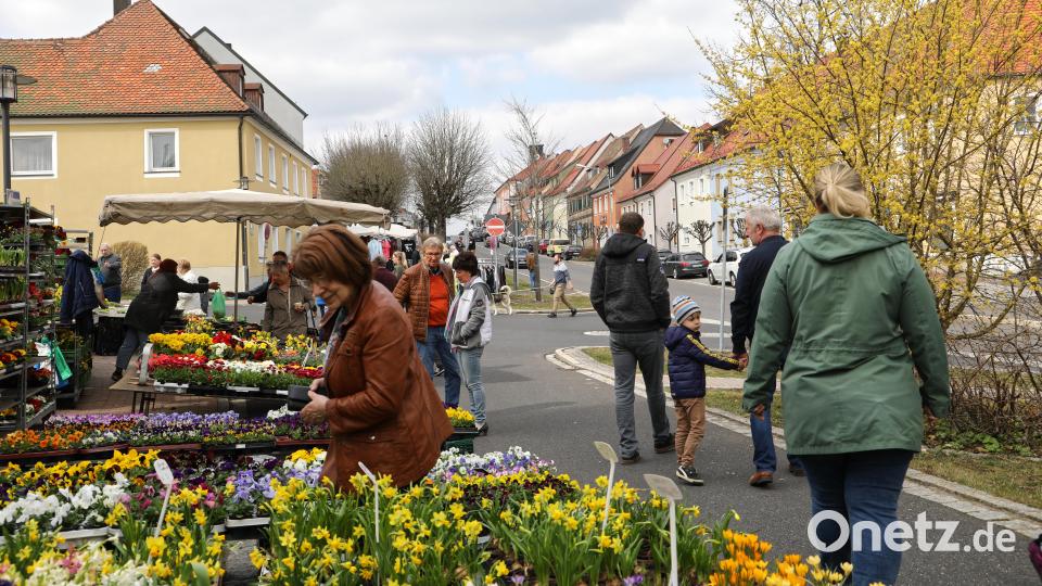 Mittefastenmarkt am Unteren Markt Bild: njn