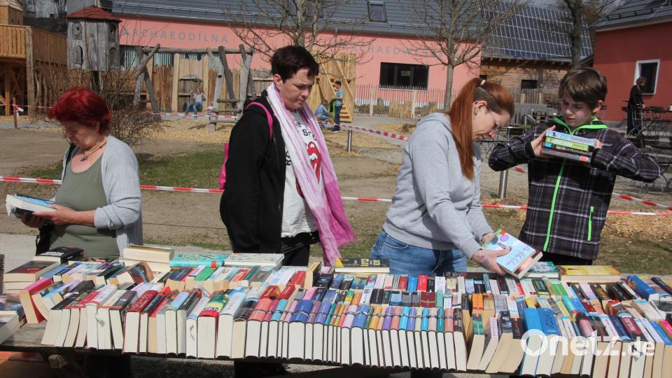 Im Zuge der Benefizaktion für die Ukraine wurde den Besuchern beim Saisonstart im Geschichtspark auch ein großer Bücherflohmarkt geboten. Bild: kro