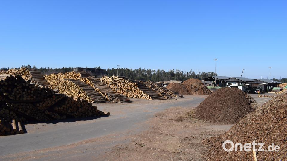 Ein Thema beim Gedankenaustausch der Grünen mit der Firmenleitung der Ziegler-Group waren die Holzberge, die täglich mit Lkws zum Standort gekarrt werden. Die Grünen votierten für mehr Verlagerungen auf die Schiene. Bild: szl