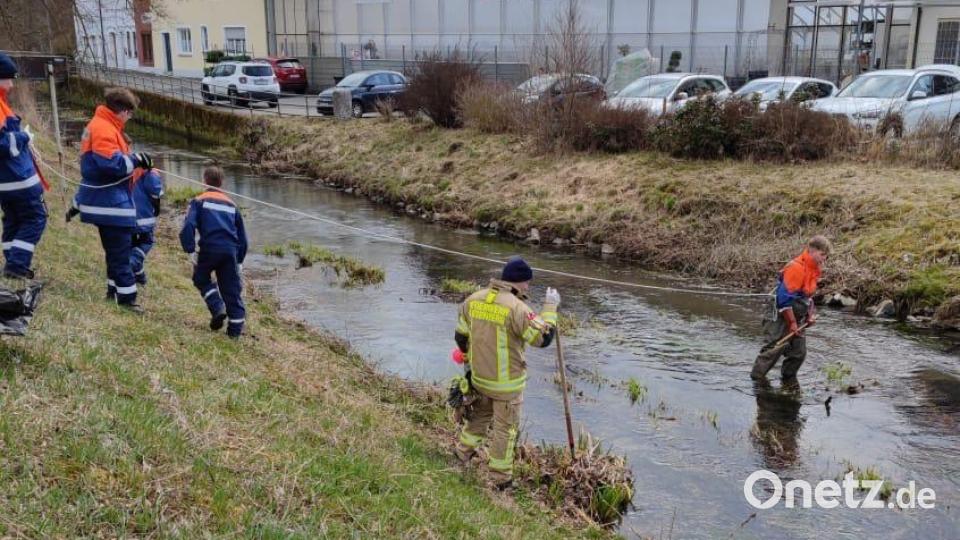 Zum Müll-Fischen rückte die Feuerwehr-Jugend an den Rosenbach aus. Bild: rlö