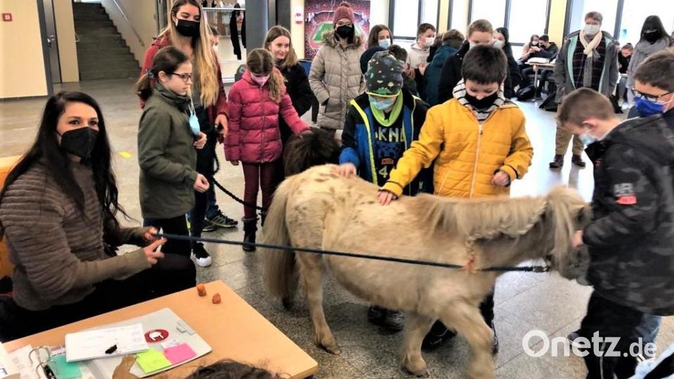 Das gibt es auch nicht alle Tage an einem Gymnasium: Michaela Lankes (links) macht mit dem Mini-Shetty Gusti und deren Sohn Franz-Josef einen Besuch in der Pausenhalle. Bild: lg