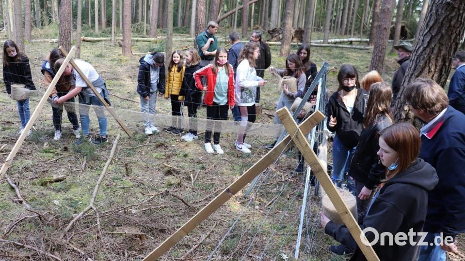Beim Waldprojekt der Mittelschule umwickeln Schülerinnen Schutzzäune mit Stoff. Damit wird verhindert, dass sich Wildtiere in den Zäunen verfangen. Bild: Stadt Tirschenreuth