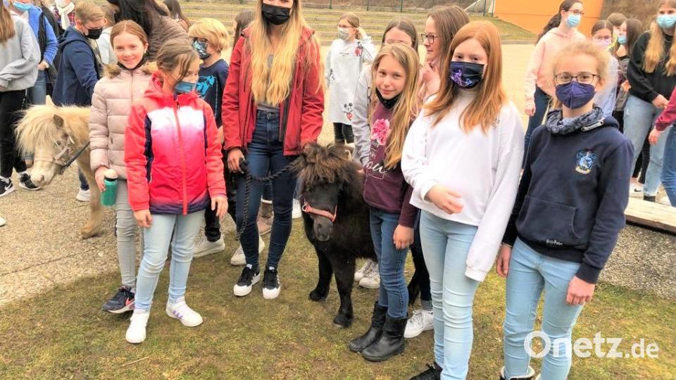 Die beiden Mini-Shettys freuen sich über die begeisterte Aufnahme bei den Schülerinnen und Schülern der Klasse 5c. Bild: lg