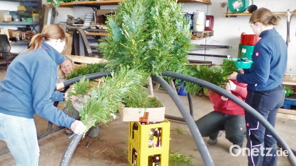 Respekt vor der vielen Arbeit der Damen, die dahinter steckt, bis die fertige Osterkrone den Marktbrunnen für das Fest zieren kann. Bild: jml