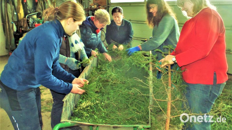 Ausschneiden, Ablängen, Sortieren, Bündeln, all das gehört als Vorarbeit dazu, ehe das Grünzeug an die Krone gebunden wird. Bild: jml