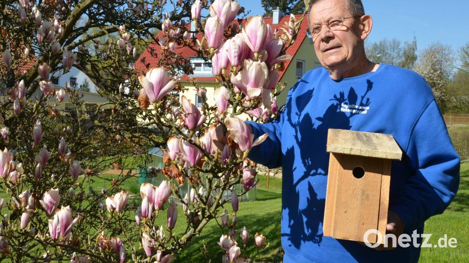 So kannte man den Vogelfreund Horst Springer: Er war immer für die Natur im Einsatz. Archivbild: dob