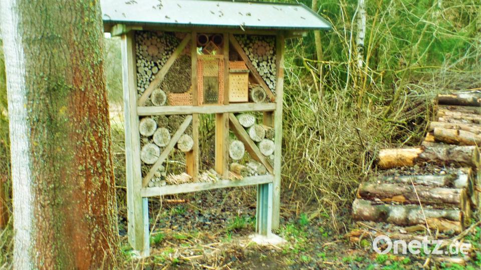 Im Hotel &quot;Bienenstich&quot; sind noch Zimmer frei. Das Insektenhotel auf dem Wanderweg Klingenbachtal wird runderneuert. Bild: jml