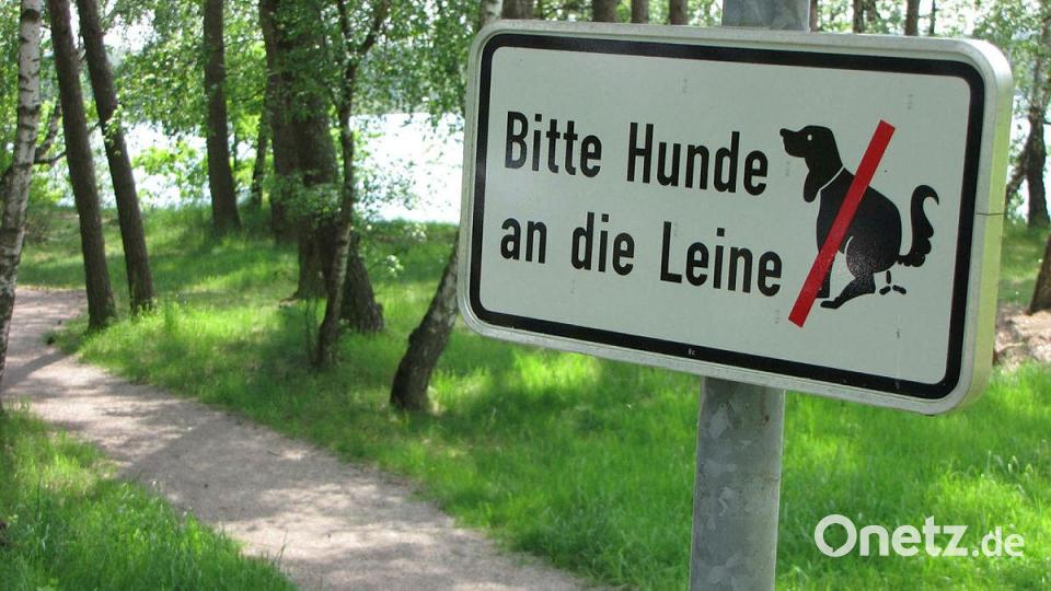 Hunde an die Leine: Ein Appell, der in Schwarzhofen oft vergeblich ist. Archivbild: Götz