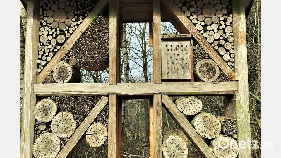 Das 2004 erstellte Insektenhotel am östlichen Arm des Naturerlebniswegs Klingenbachtal wird fleißig zur Eiablage genutzt. Jetzt steht hier und auf der gesamten Wandertrasse eine Totalerneuerung an. Bis Ende Mai sind alle Arbeiten erledigt, hofft Bürgermeister List. Bild: jml