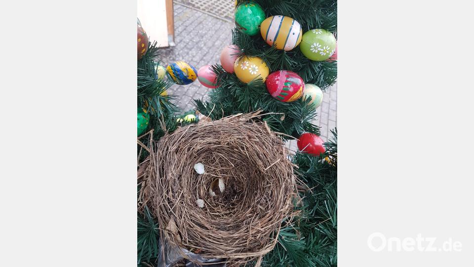 In der Dekoration entdeckten die Helfer ein altes Vogelnest. Bild: tok