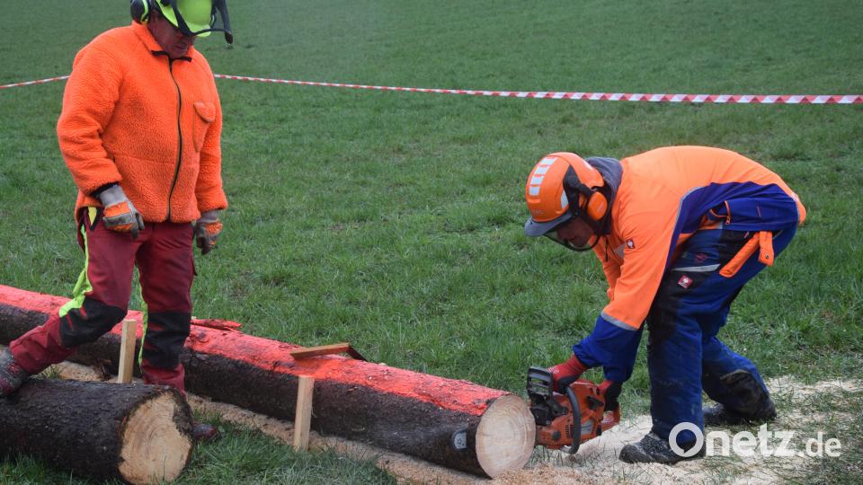 Einen liegenden Stamm durchtrennen, ohne das darunter verdeckte Brett anzusägen. Bild: fz