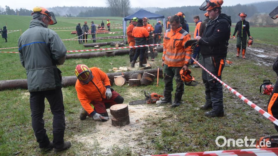 Akribisch wird gemessen und bewertet. Der kleinste Fehlschnitt bringt Punktabzug. Bild: fz