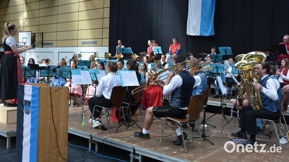 Das Kreisorchester des Nordbayerischen Musikbundes, KreisverbandTirschenreuth, gab am Sonntagnachmittag ein überwältigendes Konzert in der Mitterteicher Mehrzweckhalle, die Leitung hatte Laura Dietl. Bild: jr