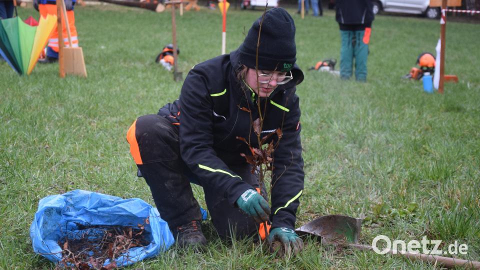Alle 1,5 Meter in einer Reihe zehn Laubbäumchen in zehn Minuten pflanzen. Bild: fz