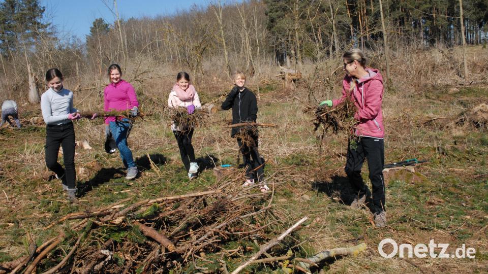 Im Vorfeld der Pflanzaktion wurde aufgeräumt und vorbereitet. Bild: pop