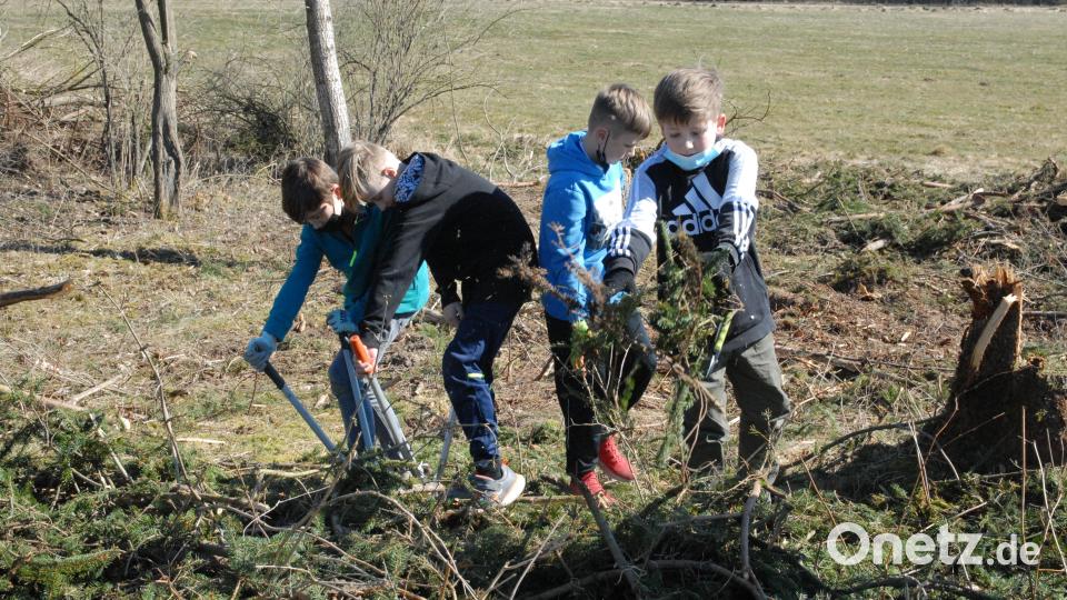 Bevor die Bäume gepflanzt werden konnten, räumten die Kinder die Äste beiseite. Bild: pop
