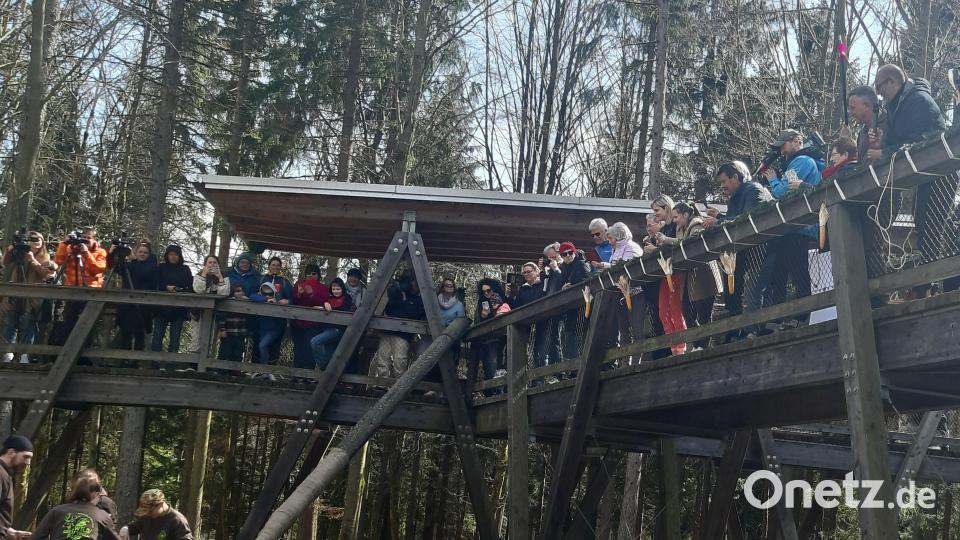 Aus Wildschwein Putin wird Eberhofer. Bild: gis