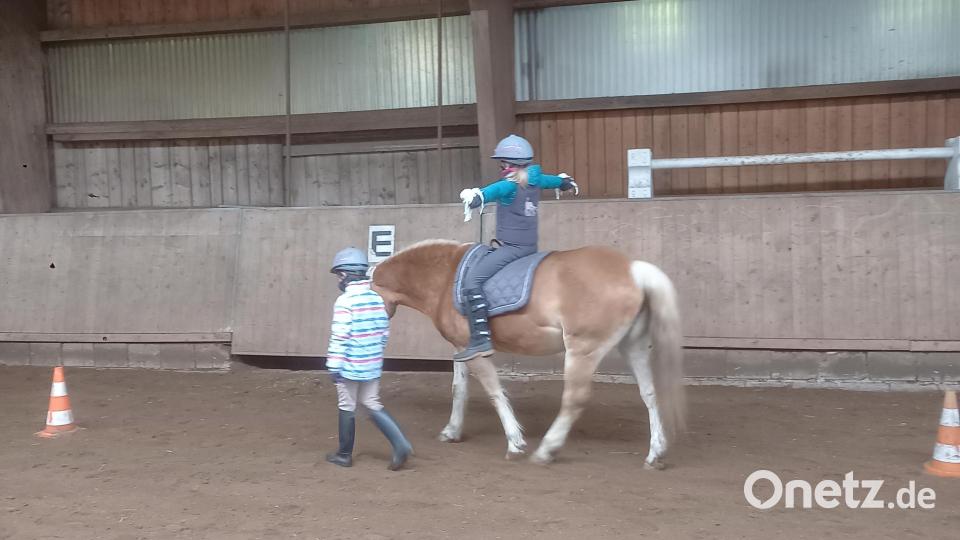 Reiten lernen auf ganz vielfältige Weise - von der Einzelstunde bis zum Gruppenunterricht. Bild: opp