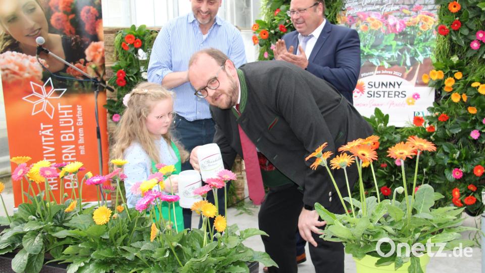 Landrat Andreas Meier und seine Tochter Katharina tauften in der Gärtnerei Steinhilber die &quot;Sunny Sisters&quot;, die Pflanze des Jahres 2022 in Bayern. Applaus dafür erhielten sie nicht nur von den anwesenden Ehrengästen, sondern auch von Gärtnermeister Reinhard Steinhilber und Bernd Fischer (hinten von links), dem Oberpfälzer Bezirksvorsitzenden des BGV. Bild: prh