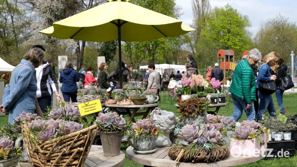 Die vierten Schwandorfer Gartentage zeichneten sich durch ihr vielfältiges Angebot aus. 70 Aussteller beteiligten sich am Wochenende an der grünen Messe im Stadtpark. Bild: Hirsch