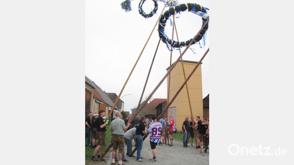 In Mantel stellten die kräftigen Männer der Maibaumgemeinschaft unter Regie von Daniel Brünnig den Baum mit den Schwalben nach alter Tradition in die Höhe. Bild: sei