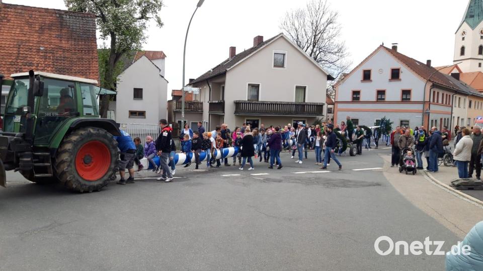 Auf den letzten Metern durften sich die Kinder dann auf den Baustamm setzen und so den Waldthurner Maibaum bis zum Aufstellungsort begleiten. Bild: fla