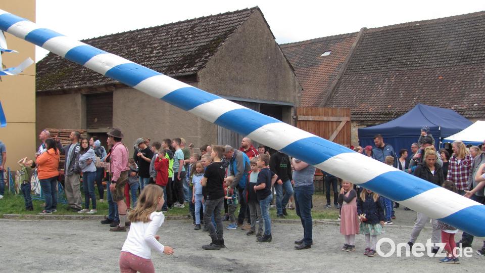 Schnell mal unter dem Maibaum durchlaufen, war zwar ein Spaß aber eigentlich nicht erlaubt. Doch der Stamm war ja durch die drei Mannschaften an den Schwalben gesichert. Bild: sei