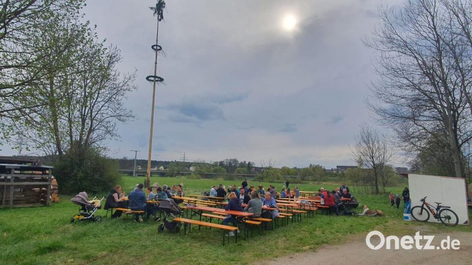 Mit Hilfe eines Kranes stellte die Freiwillige Feuerwehr Oberwildenau ihren Maibaum auf. Bild: bey