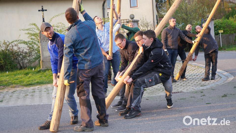 Maibaumaufstellen in Albersrieth Bild: fvo