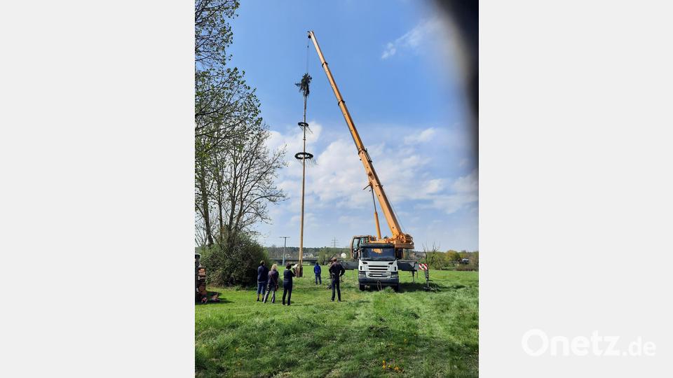 Mit Hilfe eines Kranes stellte die Freiwillige Feuerwehr Oberwildenau ihren Maibaum auf. Bild: bey